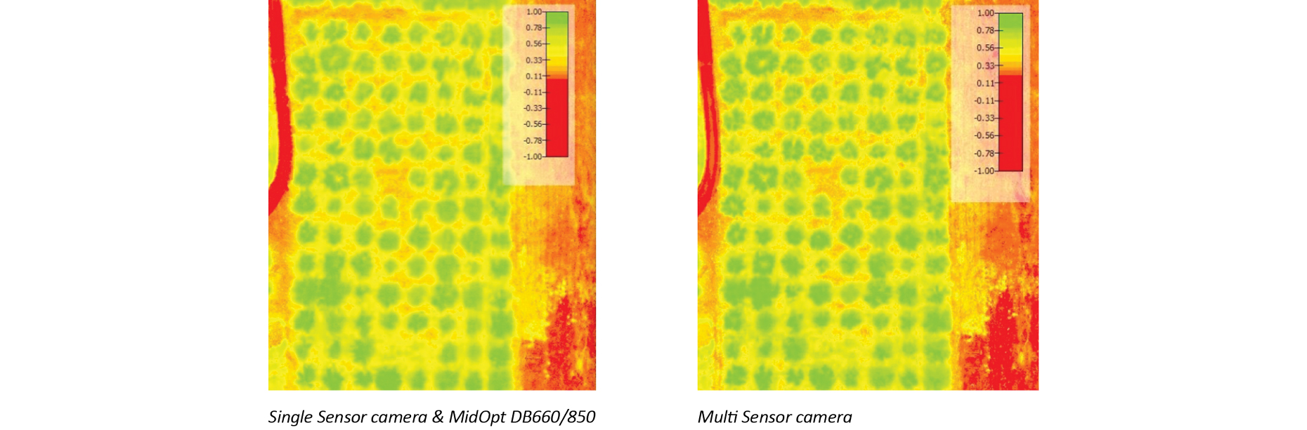 NDVI - MidOpt Dual Bandpass Filters - Multispectral Imaging - Single Spectral Imaging 
