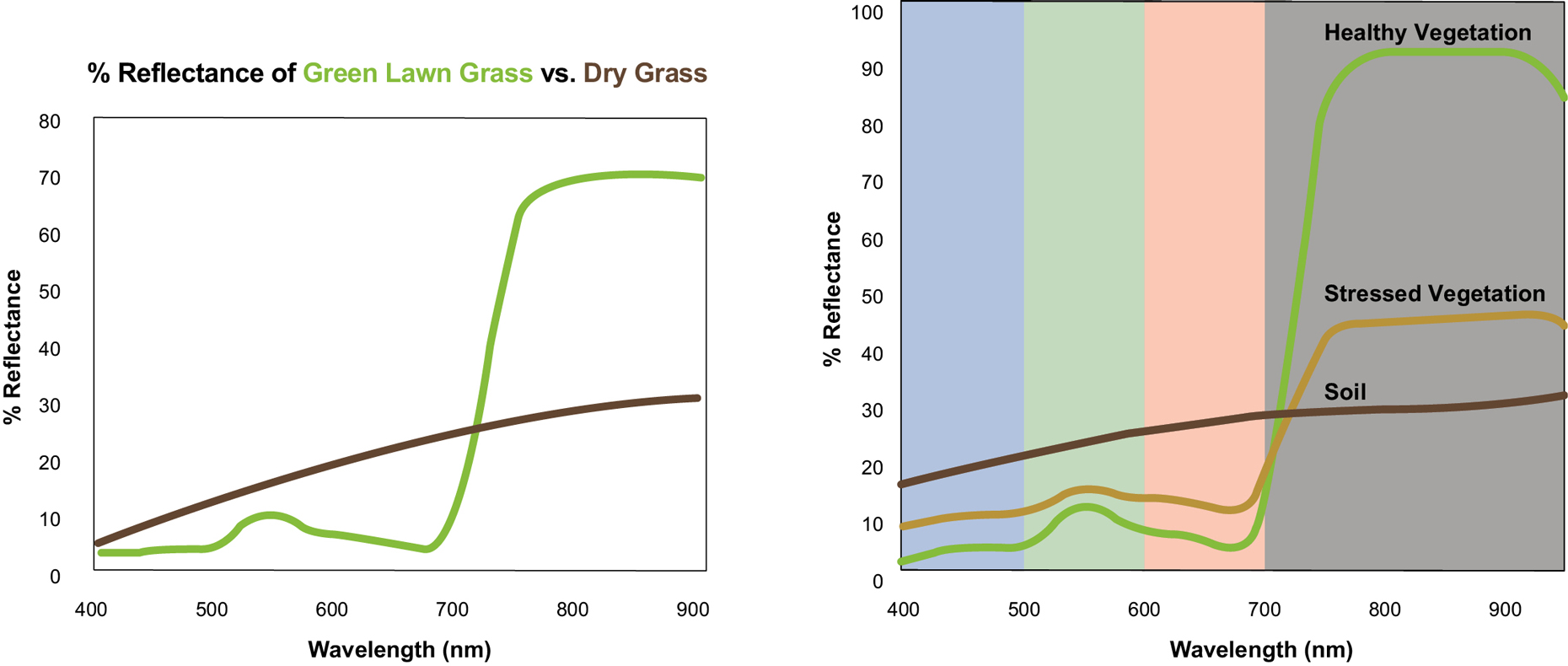 MidOpt NDVI – % Reflectance of Green Lawn Grass vs. Dry Grass